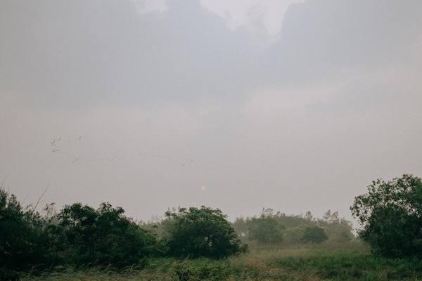 Shreya and Rikhabh — photograph 29